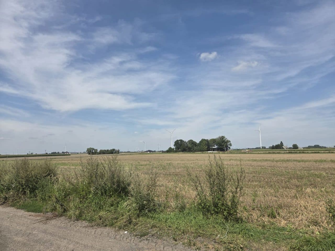 Niezabudowana dz. nr 88 o pow. 5,0300 ha położona w Łobdowie, gm. Dębowa Łąka – zdjęcie 5 z 5