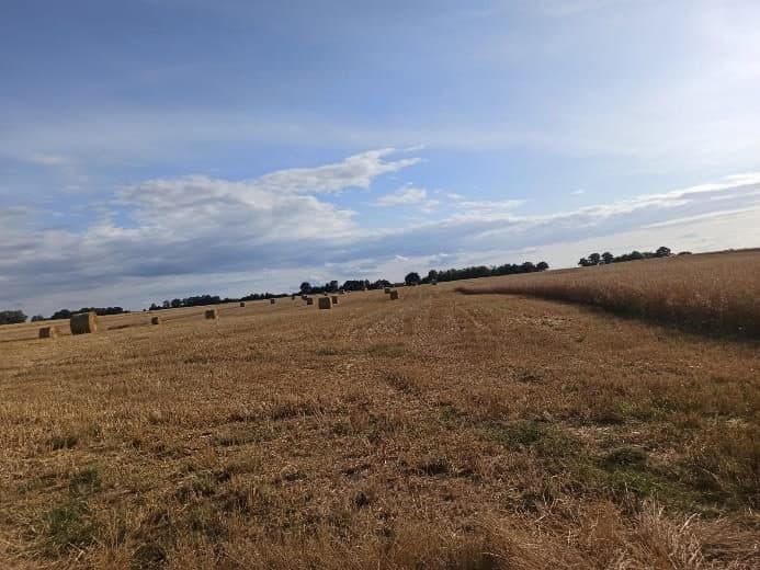Nieruchomość gruntowa niezabudowana rolna, o powierzchni 0,42 ha, położonej: 72-320 Trzebiatów, Trzebusz, objęta KW nr SZ1G/00042080/1
