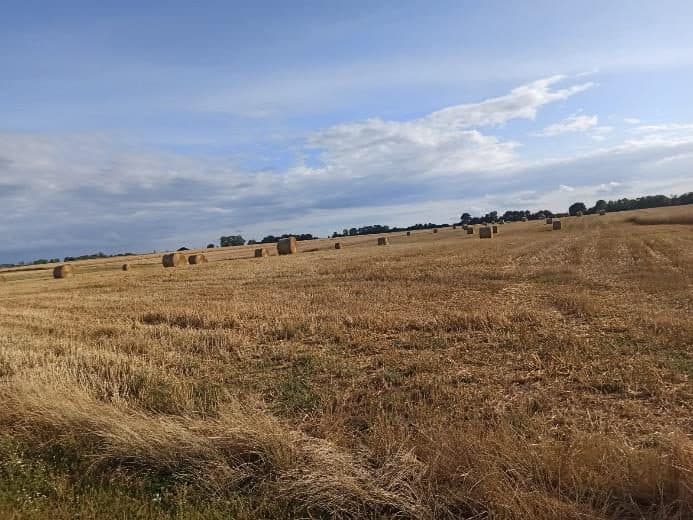 Nieruchomość gruntowa niezabudowana rolna, o powierzchni 0,42 ha, położonej: 72-320 Trzebiatów, Trzebusz, objęta KW nr SZ1G/00042080/1 – zdjęcie 2 z 8