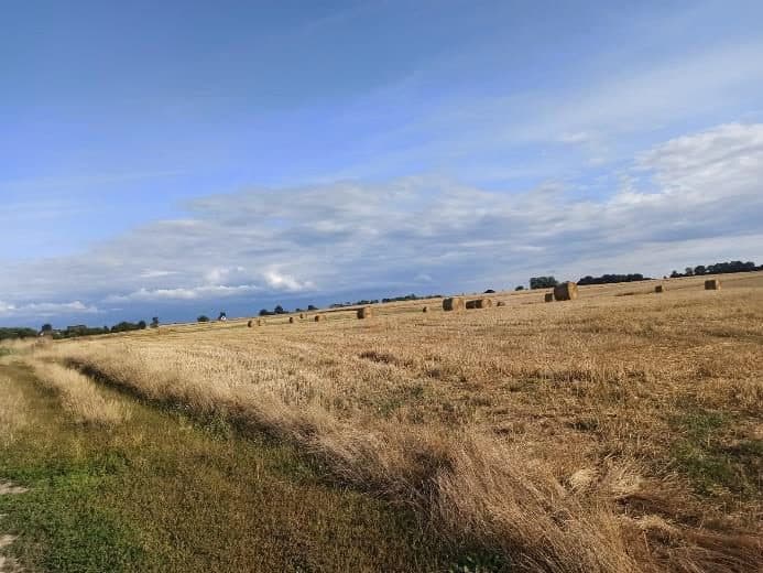 Nieruchomość gruntowa niezabudowana rolna, o powierzchni 0,42 ha, położonej: 72-320 Trzebiatów, Trzebusz, objęta KW nr SZ1G/00042080/1 – zdjęcie 3 z 8