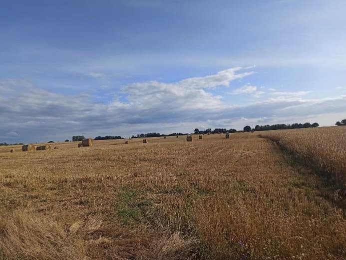 Nieruchomość gruntowa niezabudowana rolna, o powierzchni 0,42 ha, położonej: 72-320 Trzebiatów, Trzebusz, objęta KW nr SZ1G/00042080/1 – zdjęcie 4 z 8