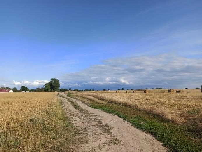 Nieruchomość gruntowa niezabudowana rolna, o powierzchni 0,42 ha, położonej: 72-320 Trzebiatów, Trzebusz, objęta KW nr SZ1G/00042080/1 – zdjęcie 5 z 8