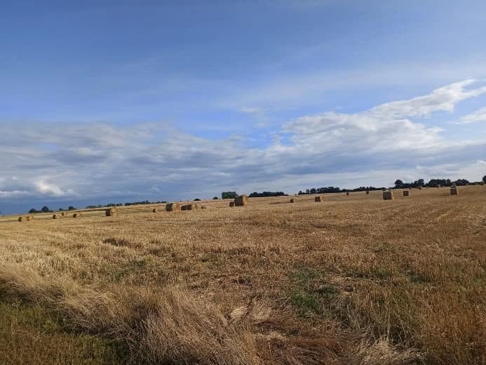 Nieruchomość gruntowa niezabudowana rolna, o powierzchni 0,42 ha, położonej: 72-320 Trzebiatów, Trzebusz, objęta KW nr SZ1G/00042080/1 – zdjęcie 6 z 8