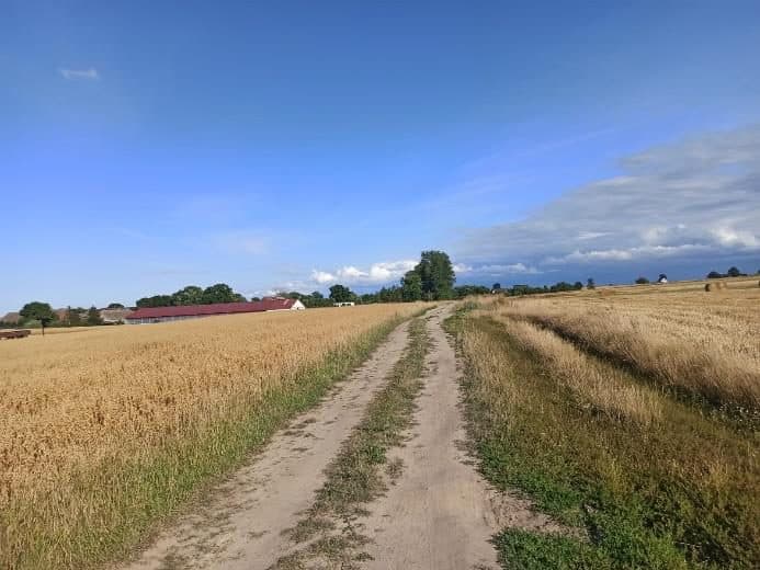 Nieruchomość gruntowa niezabudowana rolna, o powierzchni 0,42 ha, położonej: 72-320 Trzebiatów, Trzebusz, objęta KW nr SZ1G/00042080/1 – zdjęcie 7 z 8