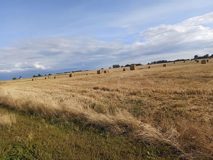 Nieruchomość gruntowa niezabudowana rolna, o powierzchni 0,42 ha, położonej: 72-320 Trzebiatów, Trzebusz, objęta KW nr SZ1G/00042080/1 – zdjęcie 8 z 8