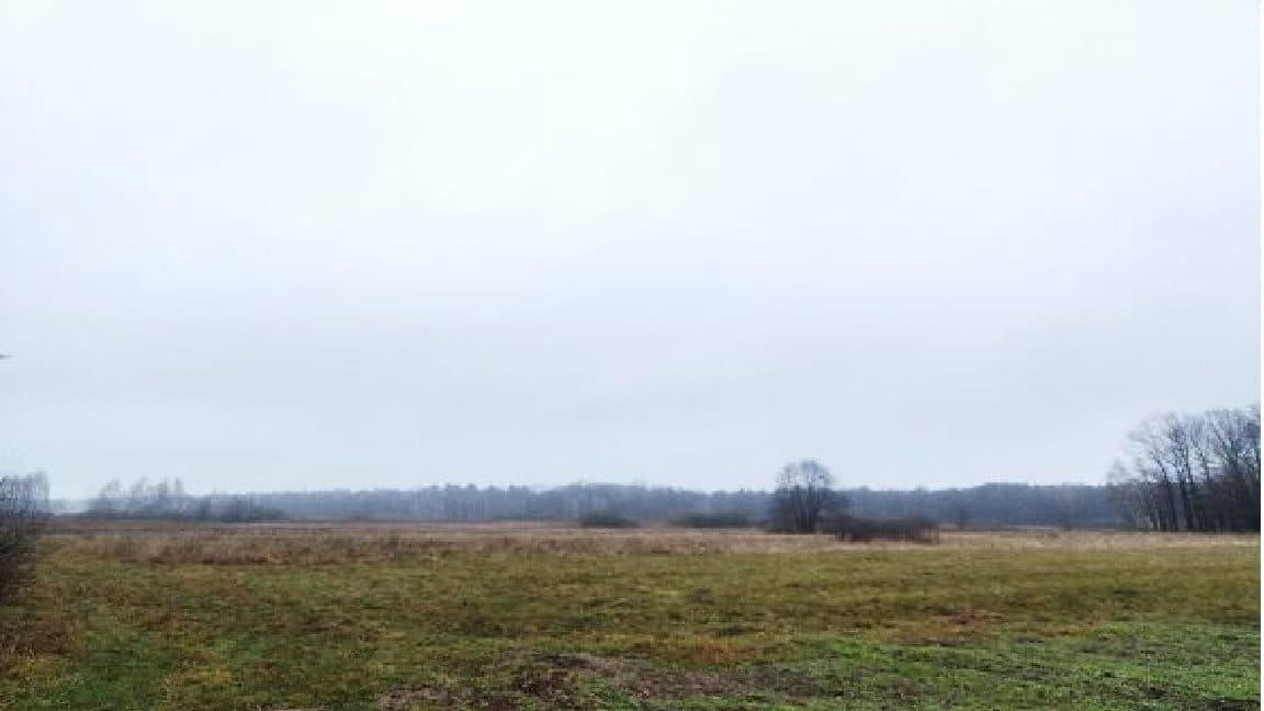 Działka o nr 771,123,126,164,254 – zdjęcie 3 z 4
