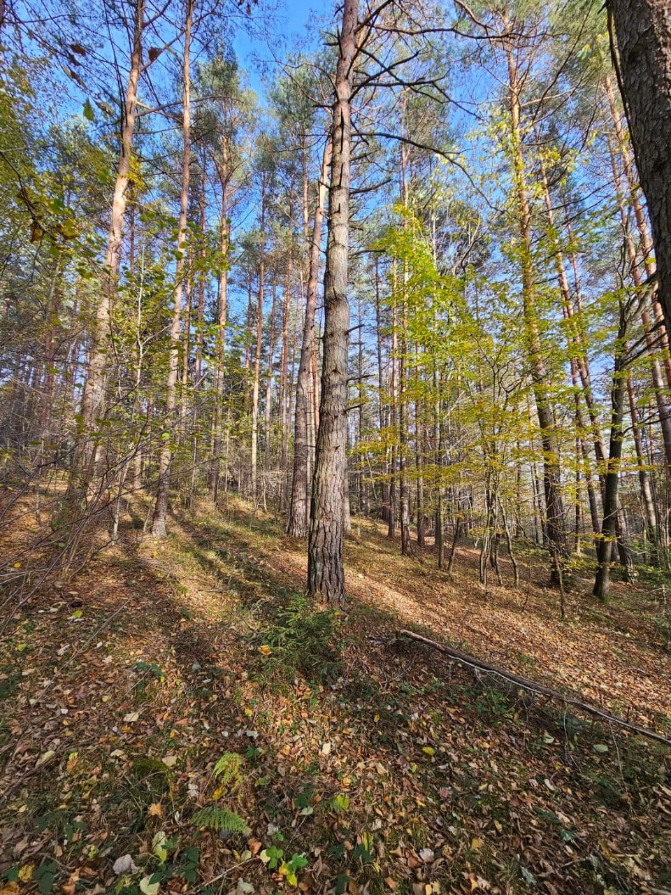 KW nr KR1Y/00073774/9