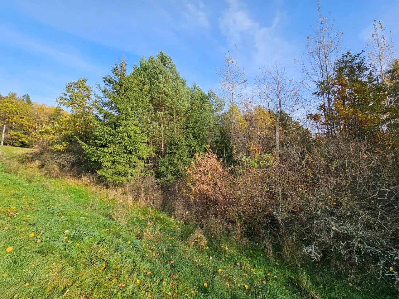 KW nr KR1Y/00073774/9