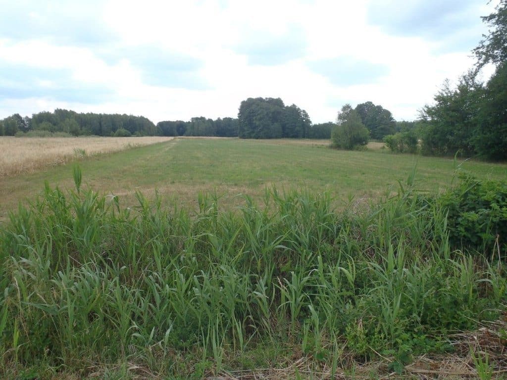 działka rolna nr 215 o pow. 0,97 ha msc. Niedabyl gm. Stromiec, pow. białobrzeski, woj. mazowieckie więcej na www.komornik-grojec.pl