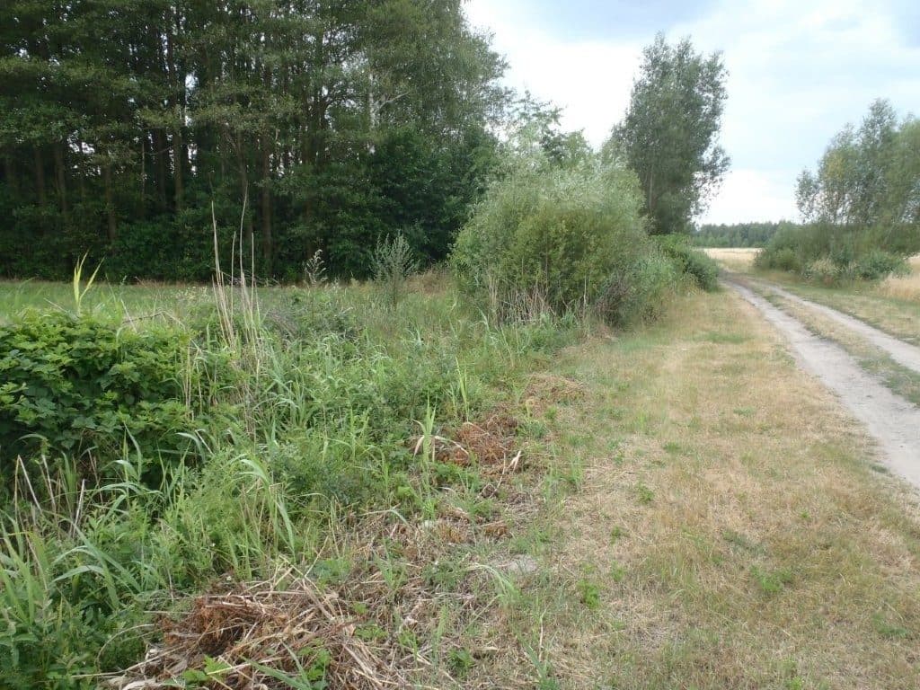 działka rolna nr 215 o pow. 0,97 ha msc. Niedabyl gm. Stromiec, pow. białobrzeski, woj. mazowieckie więcej na www.komornik-grojec.pl – zdjęcie 2 z 5