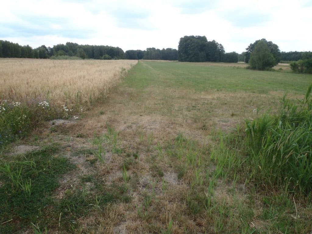działka rolna nr 215 o pow. 0,97 ha msc. Niedabyl gm. Stromiec, pow. białobrzeski, woj. mazowieckie więcej na www.komornik-grojec.pl – zdjęcie 3 z 5