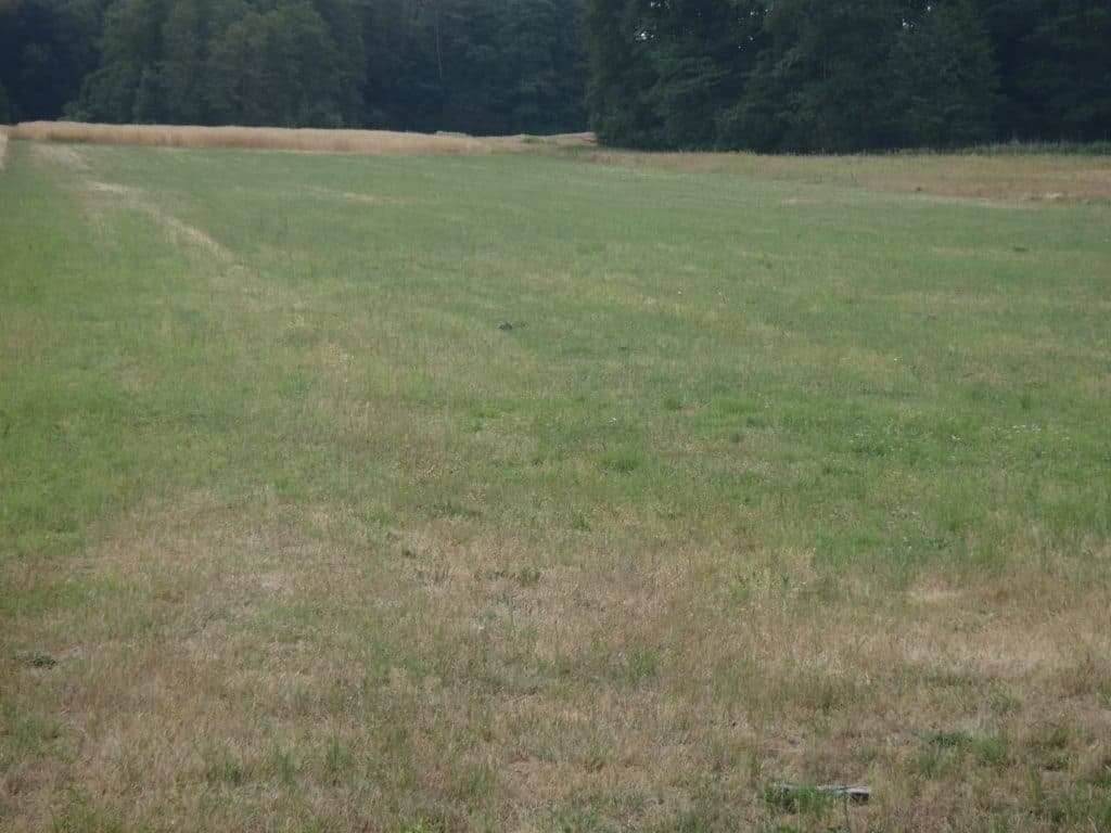 działka rolna nr 215 o pow. 0,97 ha msc. Niedabyl gm. Stromiec, pow. białobrzeski, woj. mazowieckie więcej na www.komornik-grojec.pl – zdjęcie 4 z 5