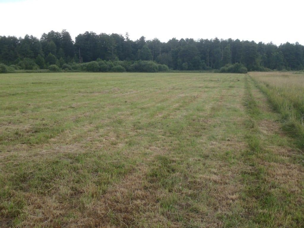 działka rolna nr 115 o pow. 1,53 ha msc. Niedabyl gm. Stromiec pow. białobrzeski woj. mazowieckie więcej na www.komornik-grojec.pl