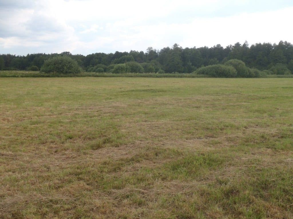 działka rolna nr 115 o pow. 1,53 ha msc. Niedabyl gm. Stromiec pow. białobrzeski woj. mazowieckie więcej na www.komornik-grojec.pl – zdjęcie 2 z 4