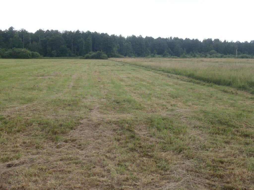 działka rolna nr 115 o pow. 1,53 ha msc. Niedabyl gm. Stromiec pow. białobrzeski woj. mazowieckie więcej na www.komornik-grojec.pl – zdjęcie 3 z 4