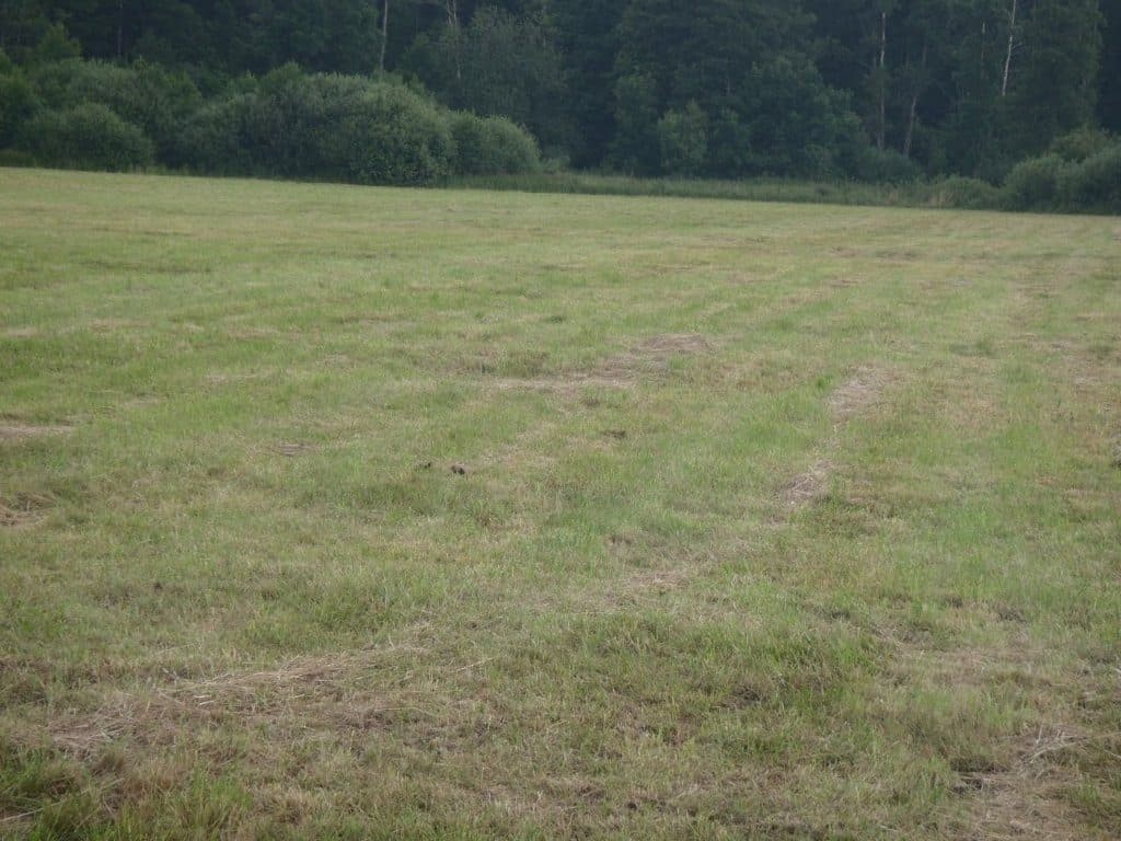 działka rolna nr 115 o pow. 1,53 ha msc. Niedabyl gm. Stromiec pow. białobrzeski woj. mazowieckie więcej na www.komornik-grojec.pl – zdjęcie 4 z 4