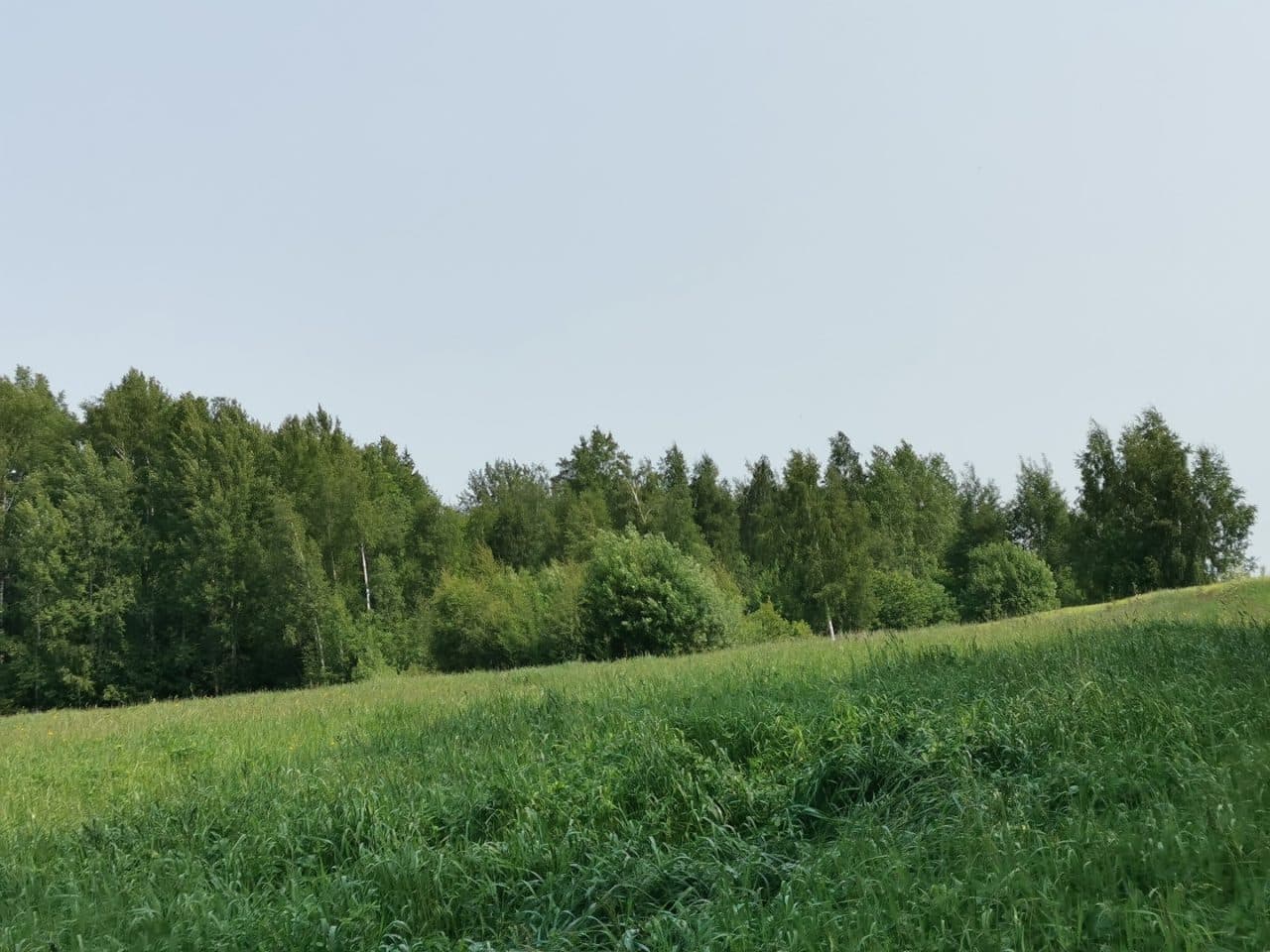 Działka rolna niezabudowana o pow. 0,3932 ha, Nowa Pawłówka, gm. Przerośl