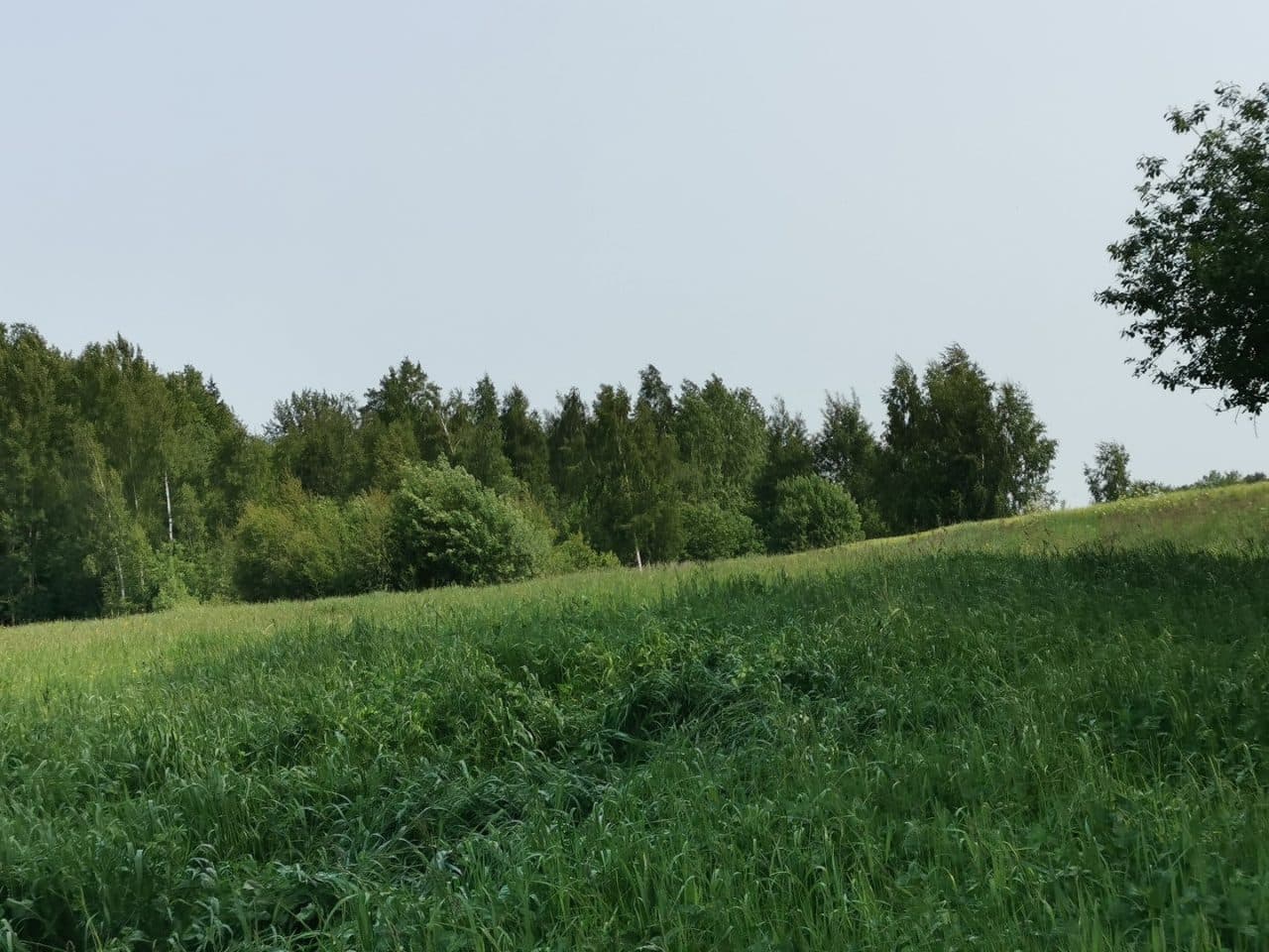 Działka rolna niezabudowana o pow. 0,3932 ha, Nowa Pawłówka, gm. Przerośl – zdjęcie 2 z 2