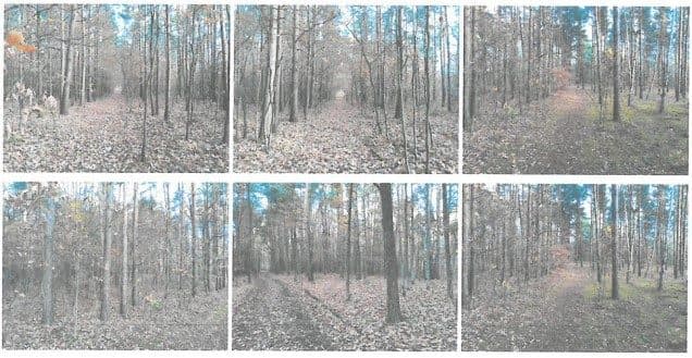 nieruchomość niezabudowana (działki ew. nr 20/3 i 20/7) – zdjęcie 2 z 3