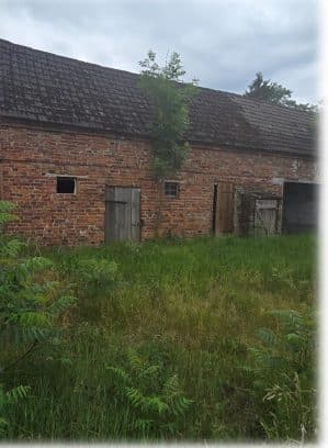 Siedlisko – zdjęcie 2 z 7