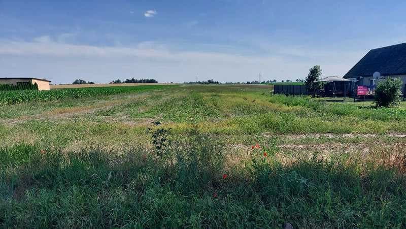 Chełmiczki, nieruchomość rolna pow. 2,5ha – zdjęcie 2 z 2