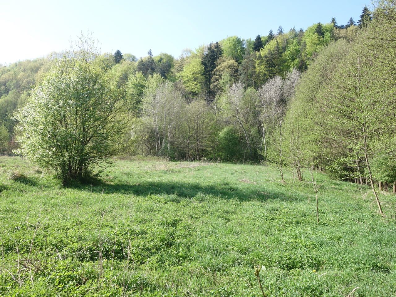4. Działka niezabudowana nr 2719