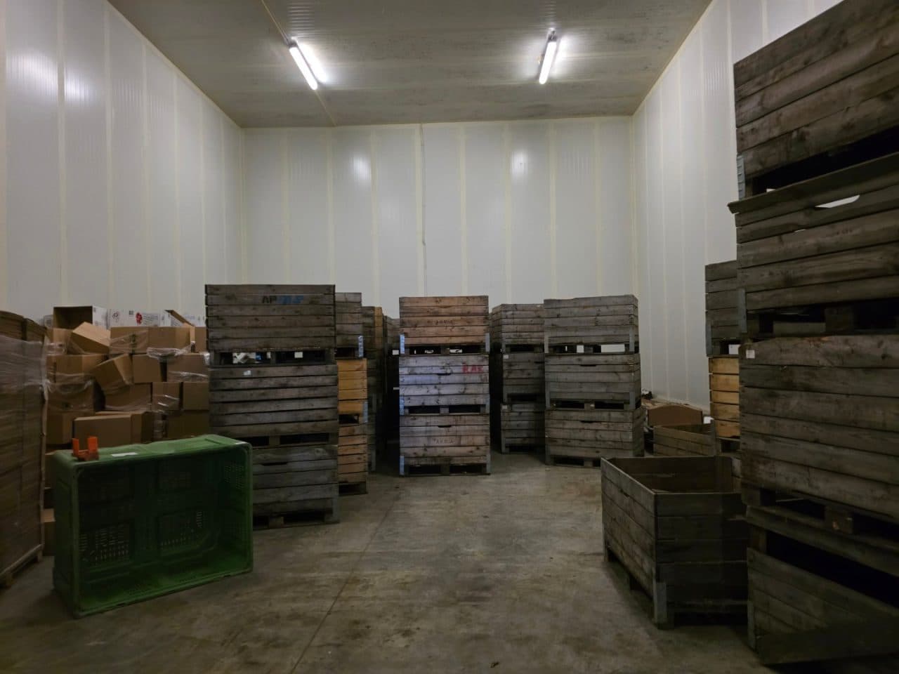 nieruchomość 0,76ha zabudowana budynkiem przechowalni owoców pow. użytkowa 3802,05m2, działki 275/1, 376, Machów, gm. Wilków – zdjęcie 20 z 25