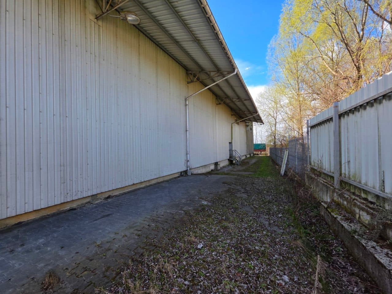 nieruchomość 0,76ha zabudowana budynkiem przechowalni owoców pow. użytkowa 3802,05m2, działki 275/1, 376, Machów, gm. Wilków – zdjęcie 21 z 25