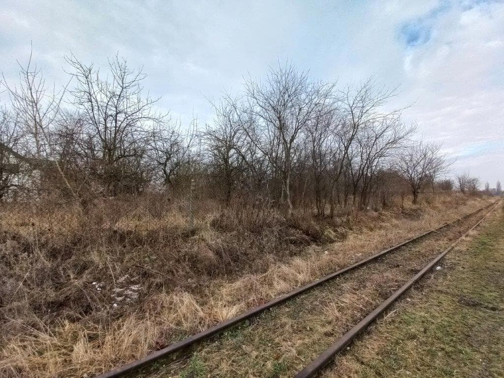 udział w działce nr 120 o pow. 1,0121 Janówek gm. Grójec przy trasie nr 50 więcej na www.komornik-grojec.pl – zdjęcie 12 z 19