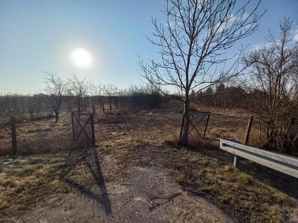 udział w działce nr 120 o pow. 1,0121 Janówek gm. Grójec przy trasie nr 50 więcej na www.komornik-grojec.pl – zdjęcie 13 z 19