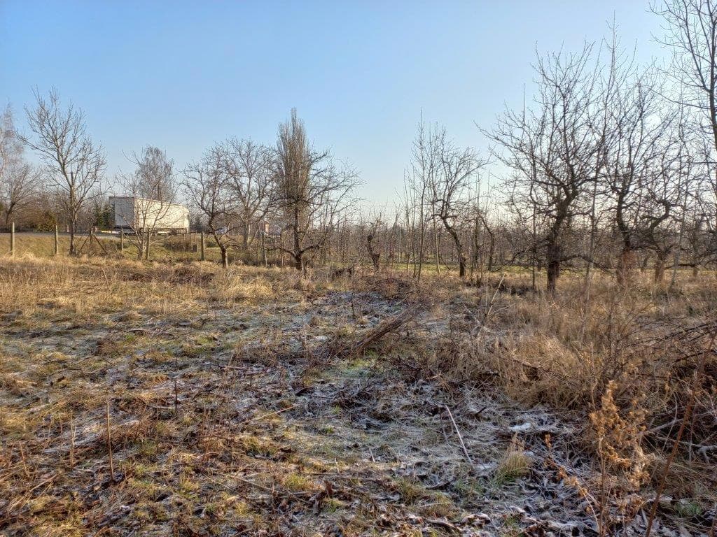 udział w działce nr 120 o pow. 1,0121 Janówek gm. Grójec przy trasie nr 50 więcej na www.komornik-grojec.pl – zdjęcie 15 z 19