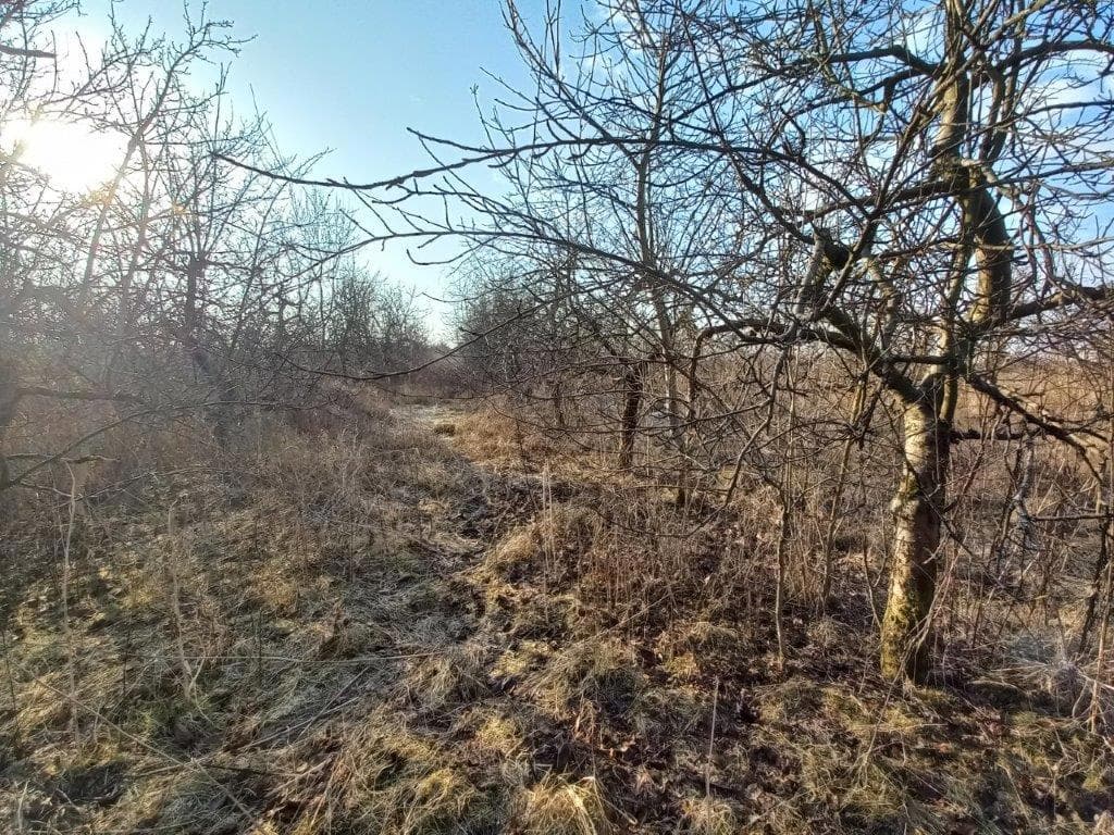 udział w działce nr 120 o pow. 1,0121 Janówek gm. Grójec przy trasie nr 50 więcej na www.komornik-grojec.pl – zdjęcie 18 z 19