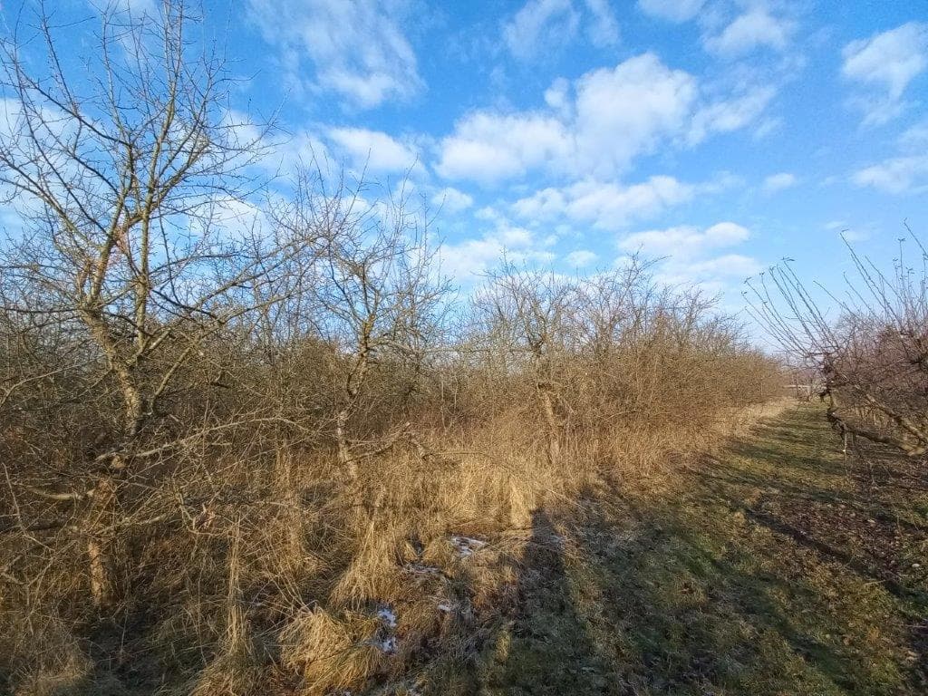 udział w działce nr 120 o pow. 1,0121 Janówek gm. Grójec przy trasie nr 50 więcej na www.komornik-grojec.pl – zdjęcie 19 z 19