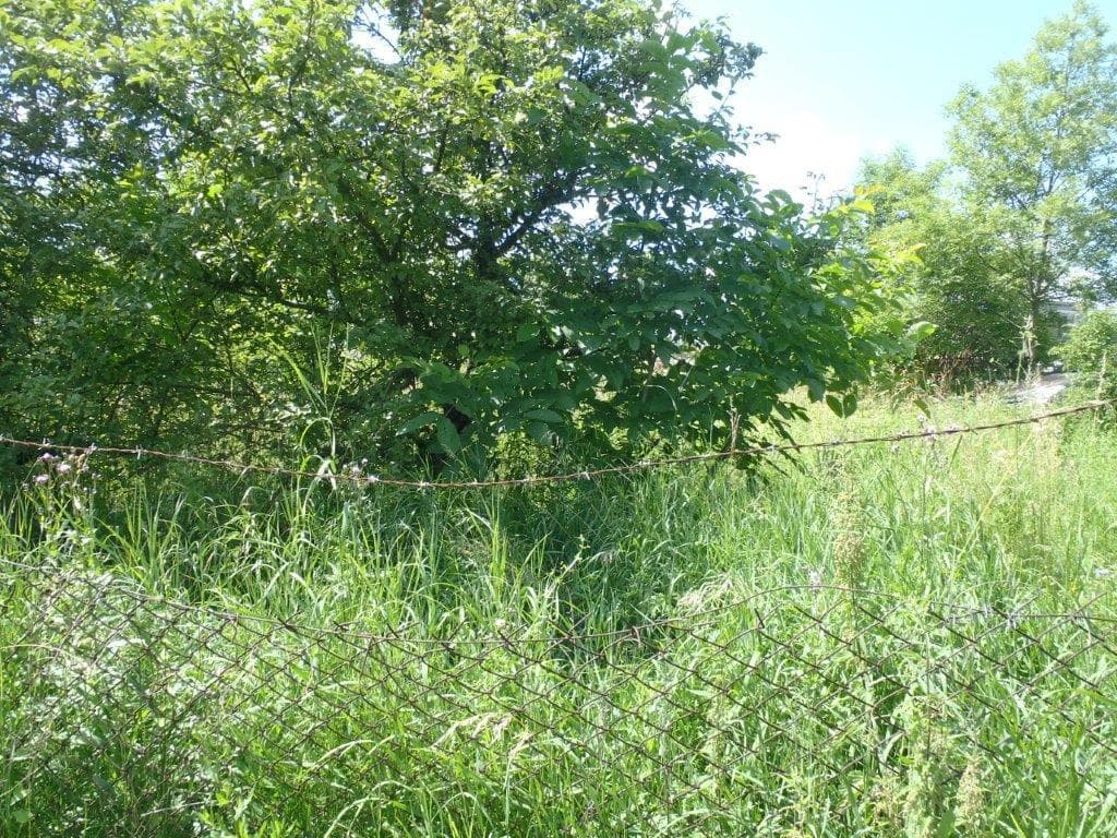 udział w działce nr 120 o pow. 1,0121 Janówek gm. Grójec przy trasie nr 50 więcej na www.komornik-grojec.pl – zdjęcie 5 z 19
