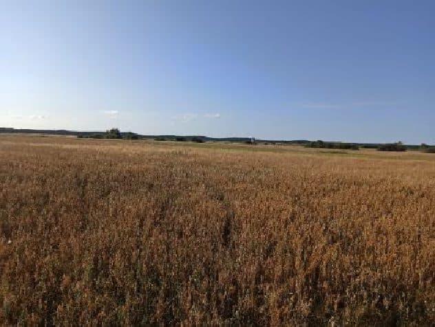 Nieruchomość gruntowa niezabudowana rolna o powierzchni 1,23 ha, położona w miejscowości Trzebusz, gmina Trzebiatów objętej KW n SZ1G/00005545/8