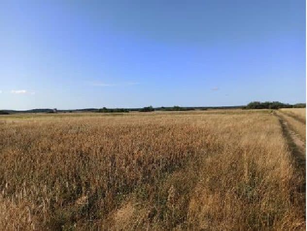 Nieruchomość gruntowa niezabudowana rolna o powierzchni 1,23 ha, położona w miejscowości Trzebusz, gmina Trzebiatów objętej KW n SZ1G/00005545/8 – zdjęcie 3 z 8