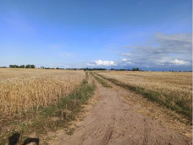 Nieruchomość gruntowa niezabudowana rolna o powierzchni 1,23 ha, położona w miejscowości Trzebusz, gmina Trzebiatów objętej KW n SZ1G/00005545/8 – zdjęcie 4 z 8