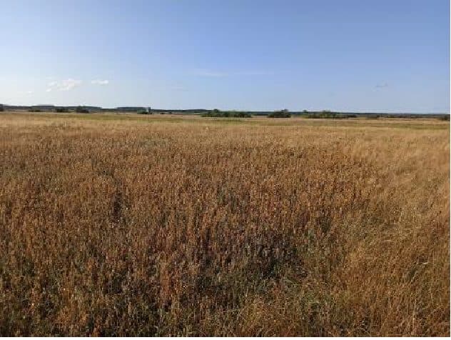 Nieruchomość gruntowa niezabudowana rolna o powierzchni 1,23 ha, położona w miejscowości Trzebusz, gmina Trzebiatów objętej KW n SZ1G/00005545/8 – zdjęcie 5 z 8
