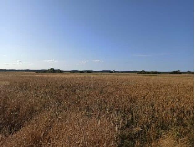 Nieruchomość gruntowa niezabudowana rolna o powierzchni 1,23 ha, położona w miejscowości Trzebusz, gmina Trzebiatów objętej KW n SZ1G/00005545/8 – zdjęcie 7 z 8