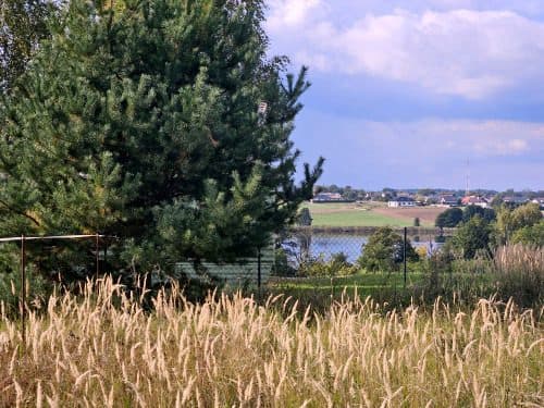 Nieruchomość gruntowa położona w Chrzypsku Wielkim, gmina Międzychód. – zdjęcie 3 z 8