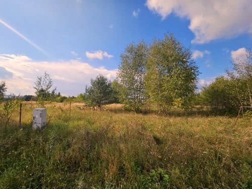 Nieruchomość gruntowa położona w Chrzypsku Wielkim, gmina Międzychód. – zdjęcie 4 z 8