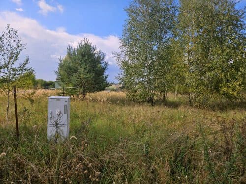 Nieruchomość gruntowa położona w Chrzypsku Wielkim, gmina Międzychód. – zdjęcie 7 z 8