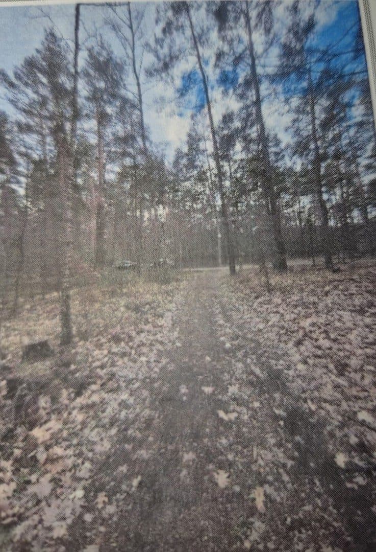 nieruchomość leśna – zdjęcie 2 z 3
