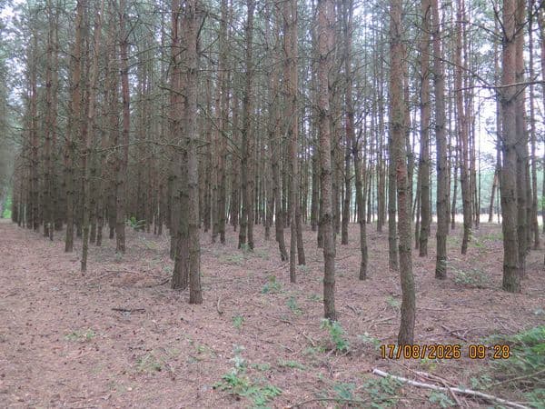 nieruchomość gruntowa – zdjęcie 7 z 8
