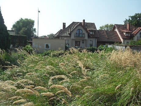 Nieruchomość zabudowana w Choszcznie – zdjęcie 5 z 6
