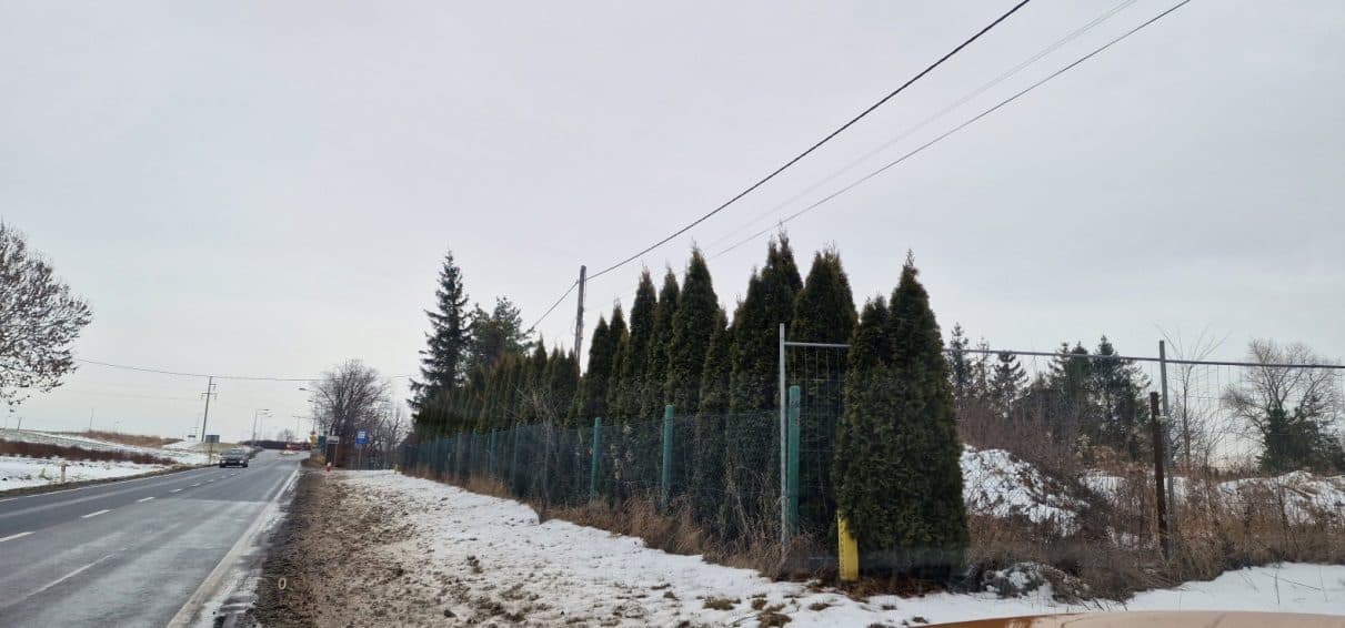Nieruchomość gruntowa zabudowana – zdjęcie 3 z 9