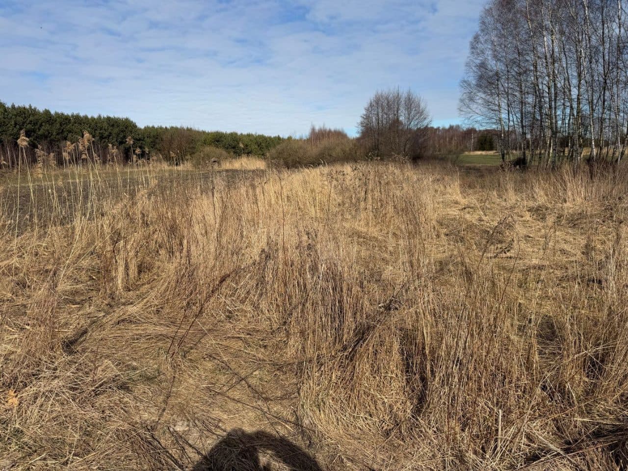nieruchomość – zdjęcie 2 z 3