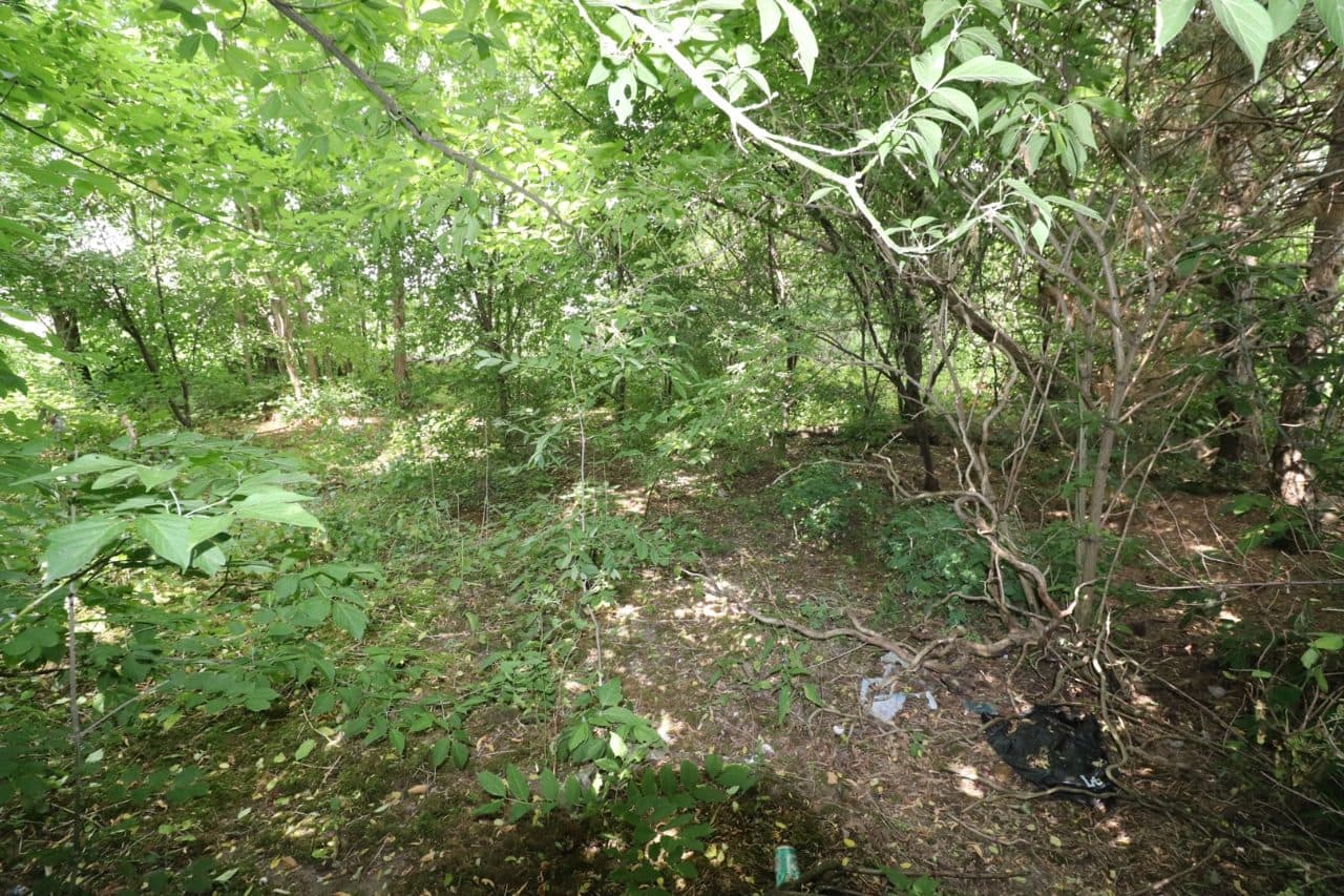 zabudowana nieruchomość rolna położona w miejscowości: Kocierzew Południowy, gmina Kocierzew, działka nr 81/4 o pow. 0,1015 ha, zapisana w Księdze Wieczystej Wydziału Ksiąg Wieczystych Sądu Rejonowego w Łowiczu pod nr LD1O/00026569/0 – zdjęcie 11 z 15