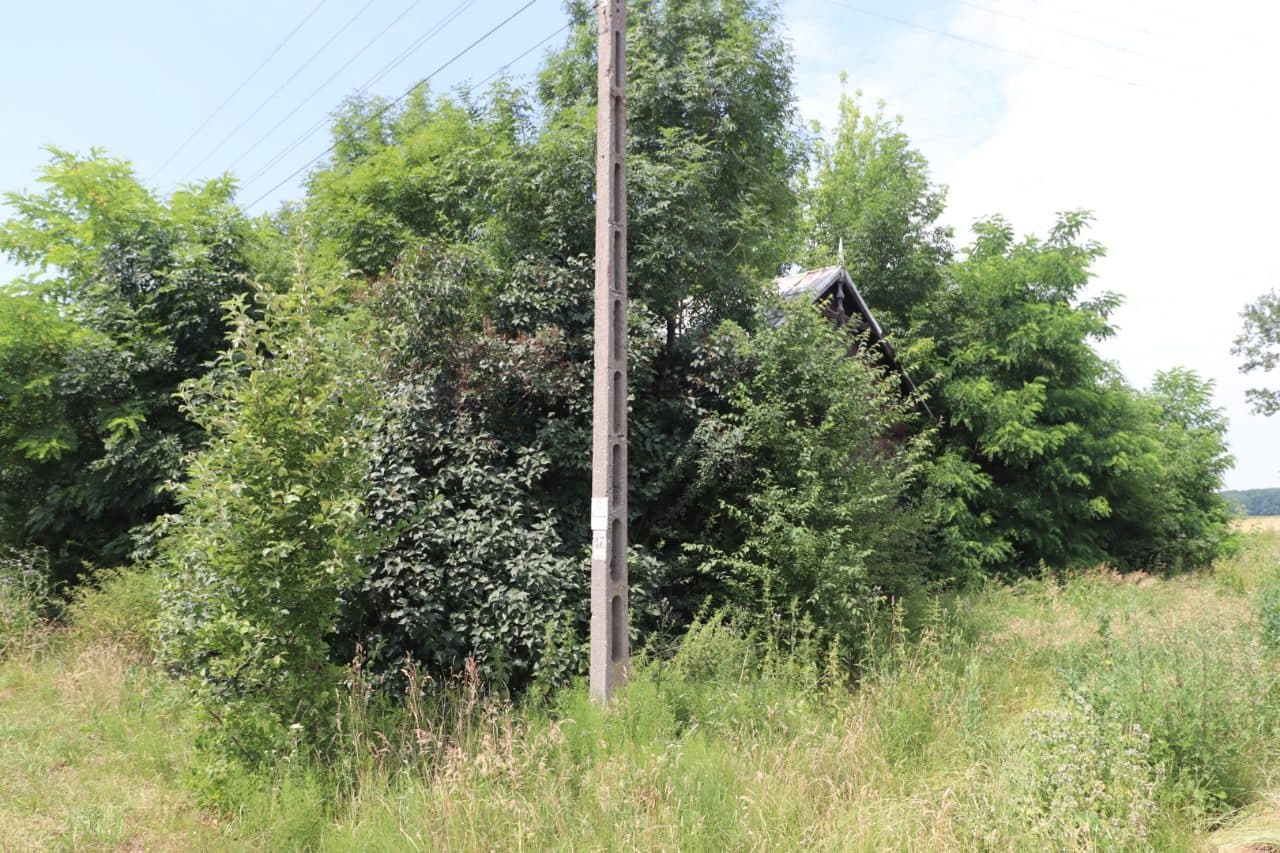 zabudowana nieruchomość rolna położona w miejscowości: Kocierzew Południowy, gmina Kocierzew, działka nr 81/4 o pow. 0,1015 ha, zapisana w Księdze Wieczystej Wydziału Ksiąg Wieczystych Sądu Rejonowego w Łowiczu pod nr LD1O/00026569/0 – zdjęcie 3 z 15