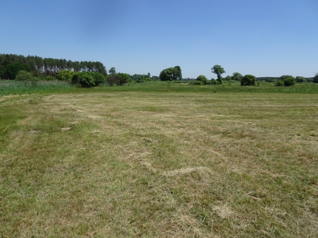 Mosty gm. Żytno
